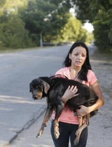Stray Animals Have Marina Tarashevska To Thank