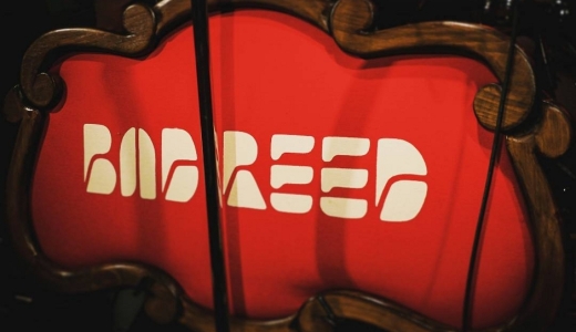 Bad Reed's promotional upholstery