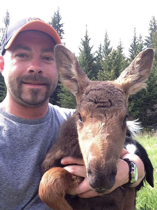 Camper Josh Hohm and his baby moose pal.