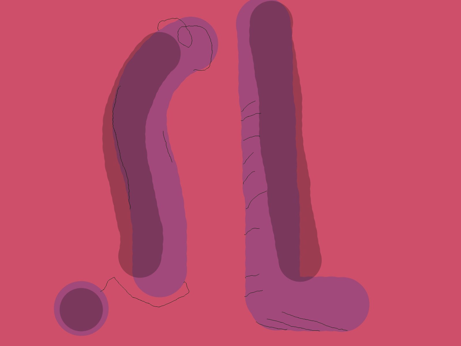 Worm City