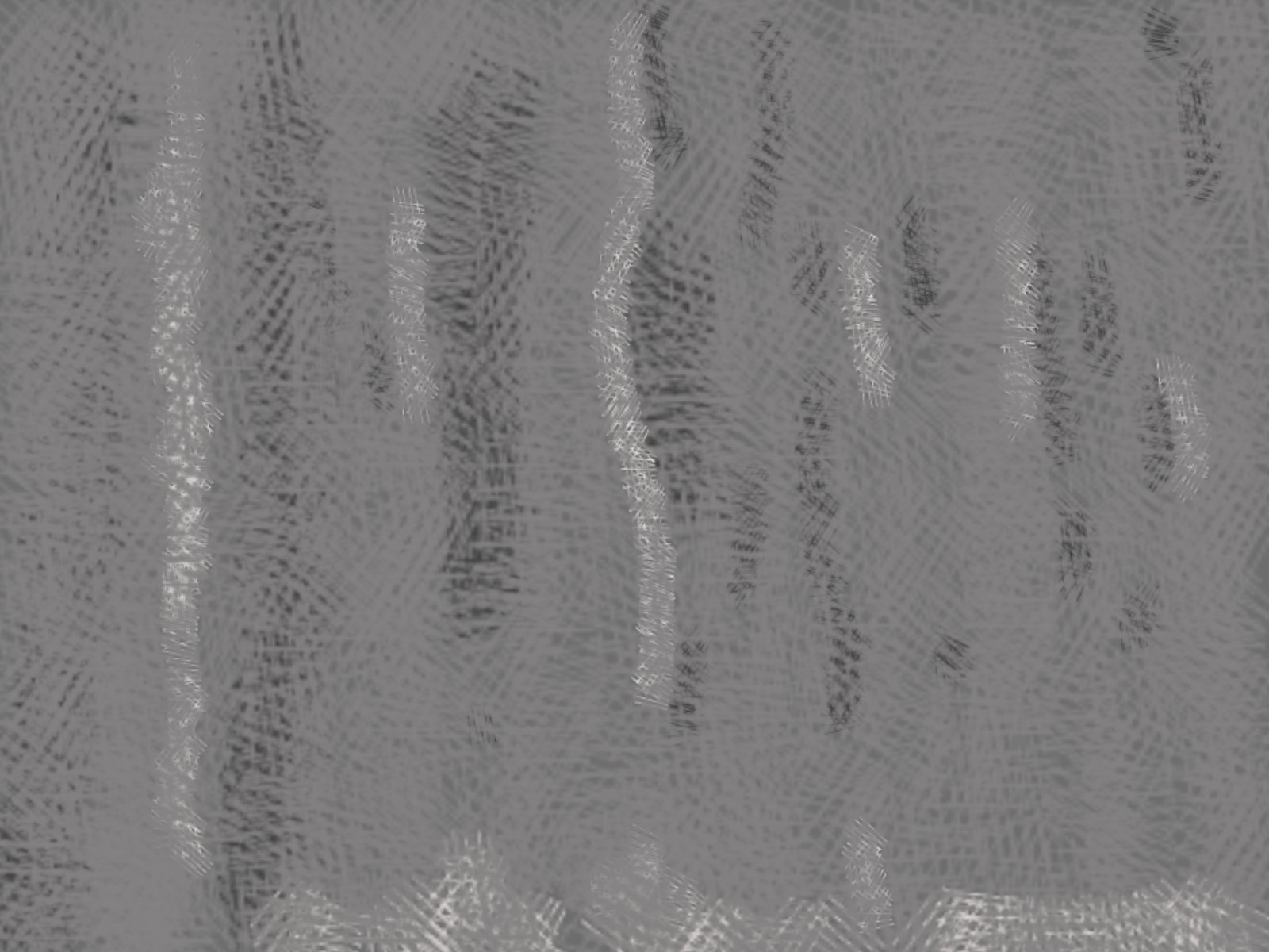 "The Gauze Forest"