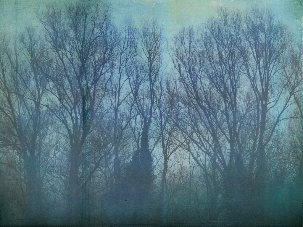 Do Atheists celebrate Winter solstice?