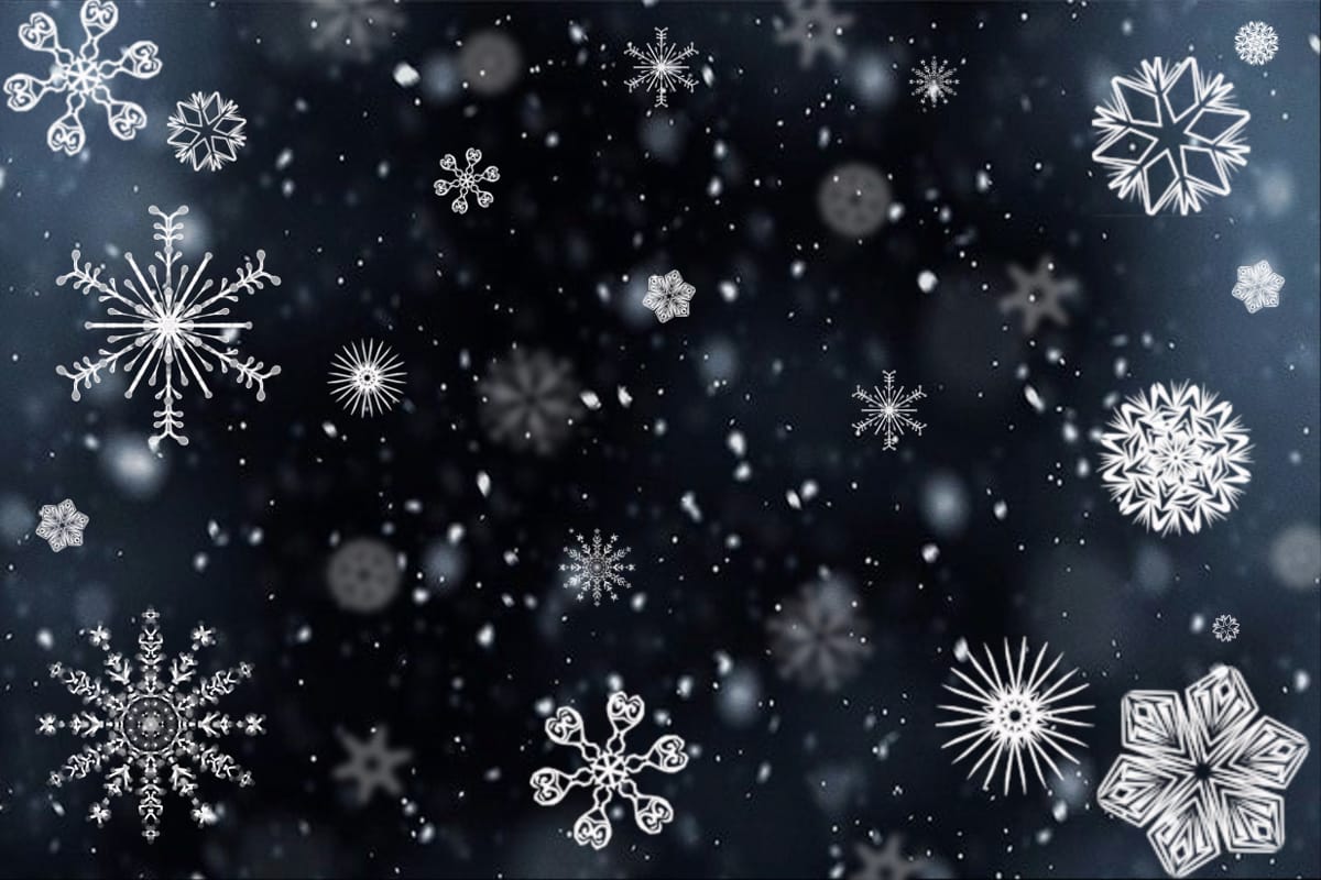On 'Snowflakes': A Coping Mechanism for Right-Wing Cowardice